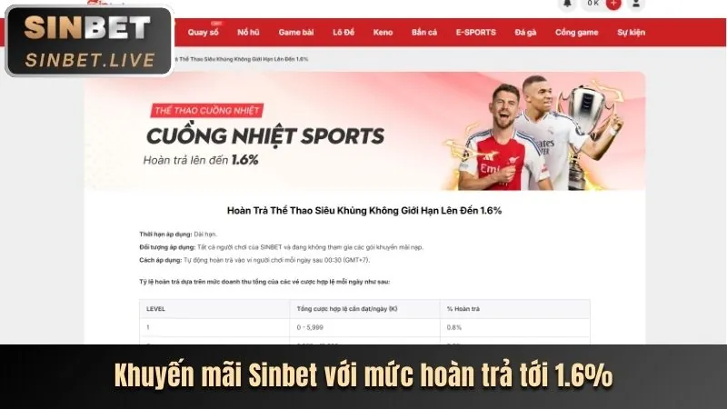 Chân dung CMO của công ty.